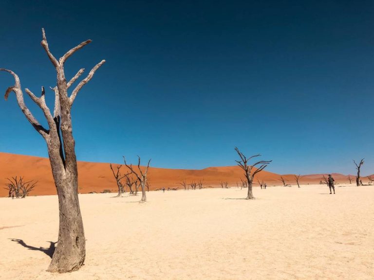 Voyage en Namibie : cap sur les grands espaces avec Hors Pistes Voyages
