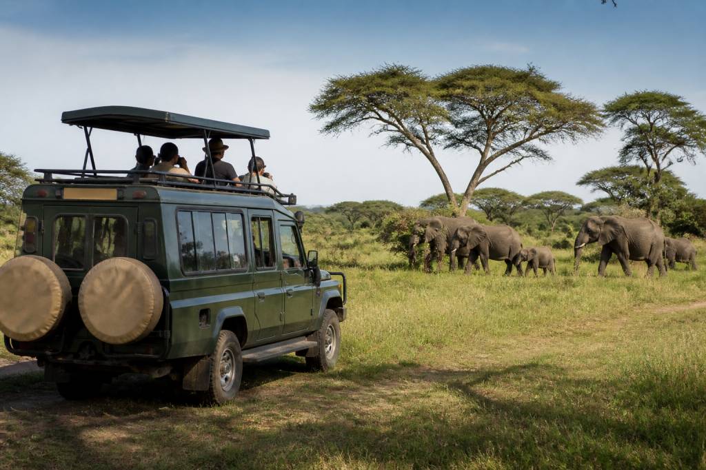Agence de voyages Kenya : comment choisir la meilleure pour votre séjour
