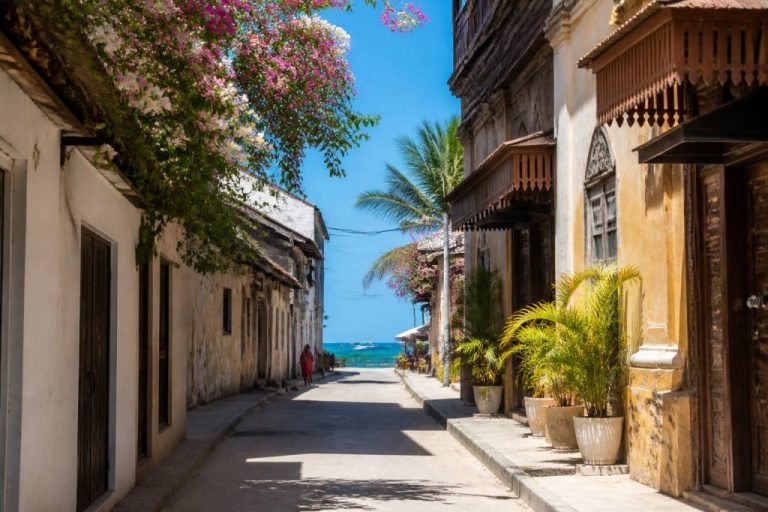 Actualité zanzibar : les infos à suivre pour préparer votre prochain voyage