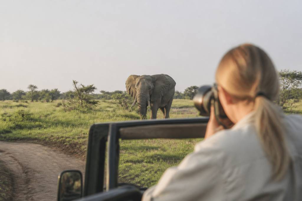 Safari photo : conseils pour réussir vos clichés en voyage
