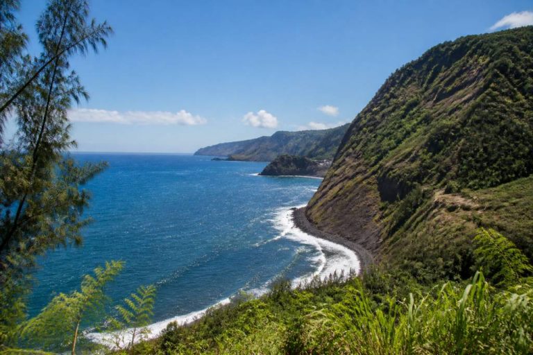 Meilleure période pour la réunion : quand partir et que voir selon les saisons