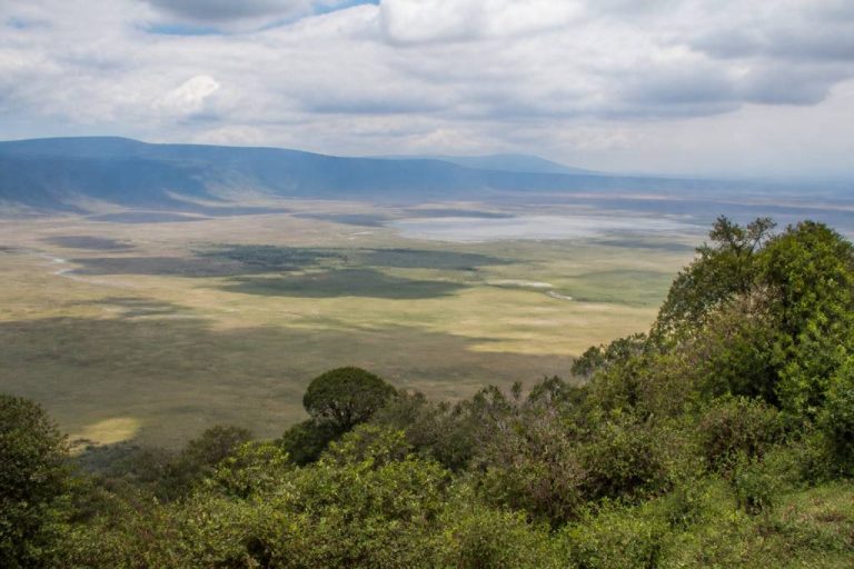 Ngorongoro national park : que voir et quand partir pour un safari inoubliable