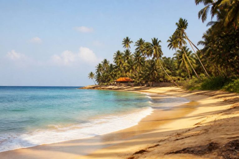 Sri Lanka paysage plage : les plus beaux endroits à découvrir entre sable fin et eaux turquoise