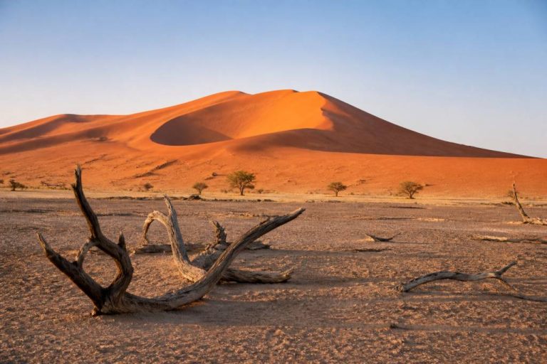 Namibie tourisme : les incontournables à découvrir pour un voyage inoubliable