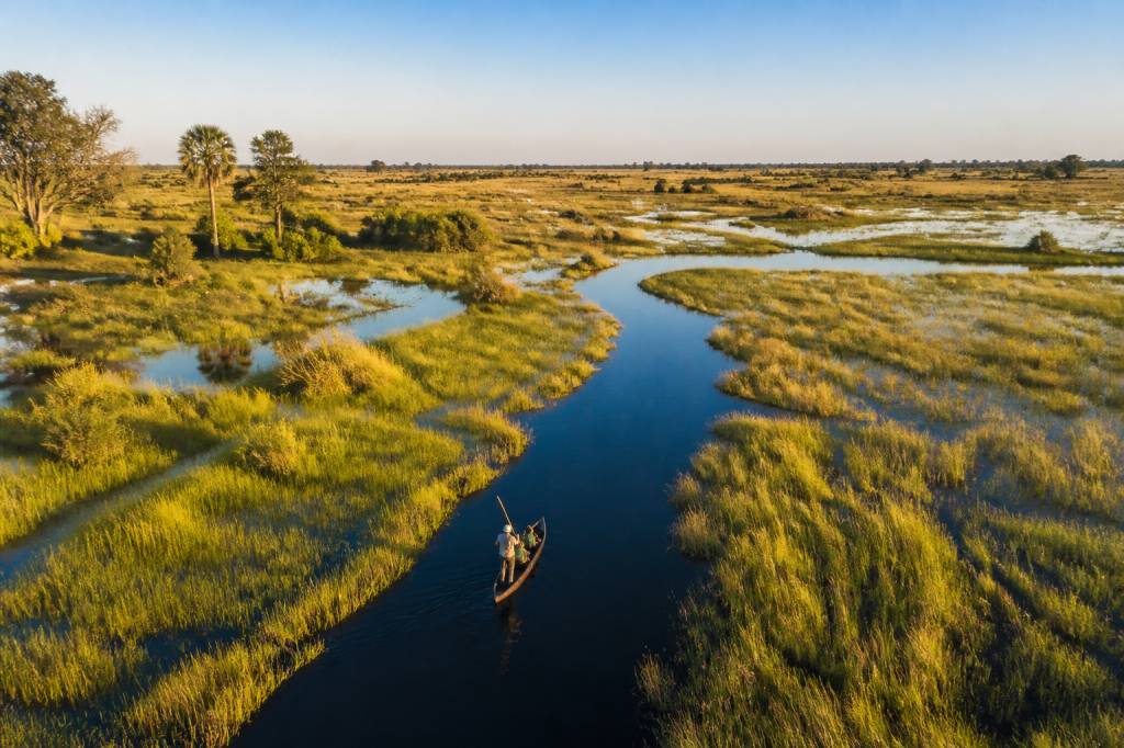 Voyage okavango : conseils pour préparer une aventure inoubliable
