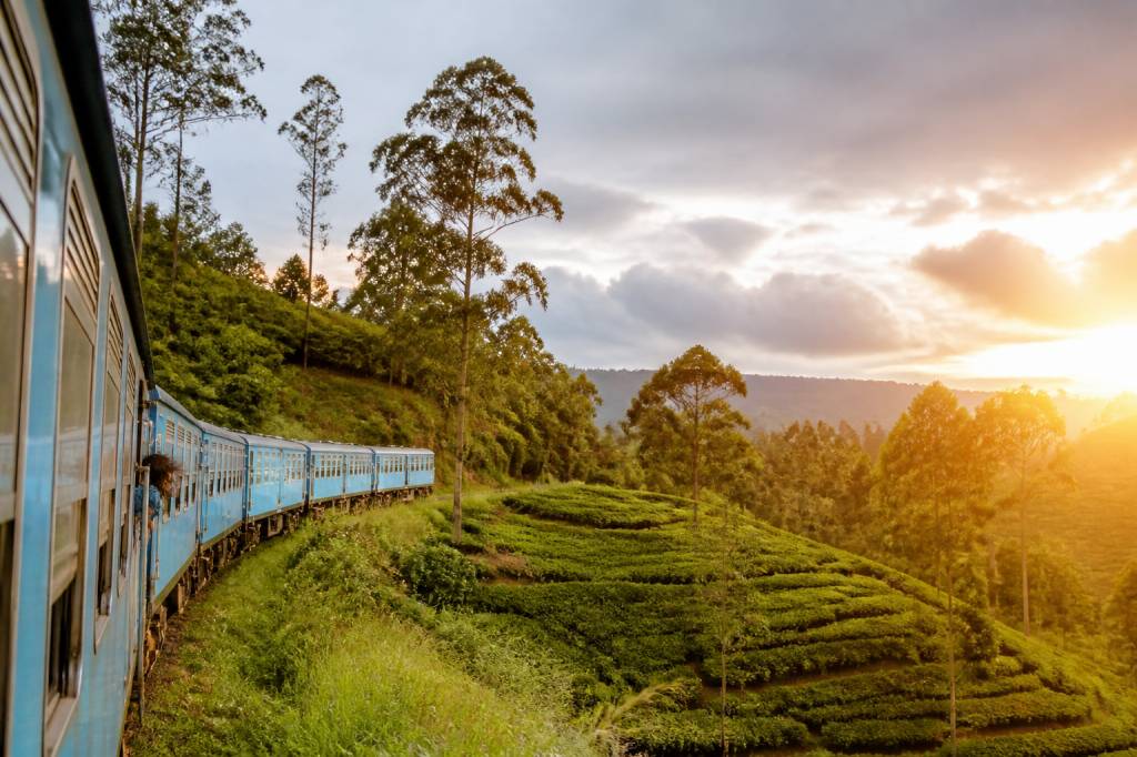 Sri Lanka en novembre : météo, activités et conseils pour un voyage réussi
