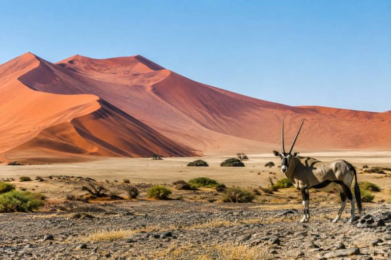 Carte de Namibie : les incontournables à découvrir pour préparer votre voyage