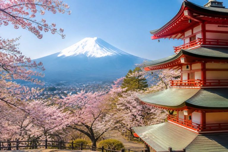 Japon tourisme 202 les tendances et conseils pour préparer votre voyage